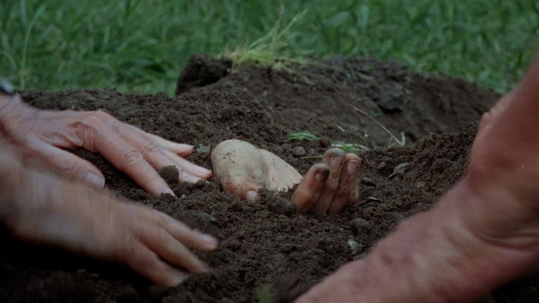 кадр из фильма Vestigis