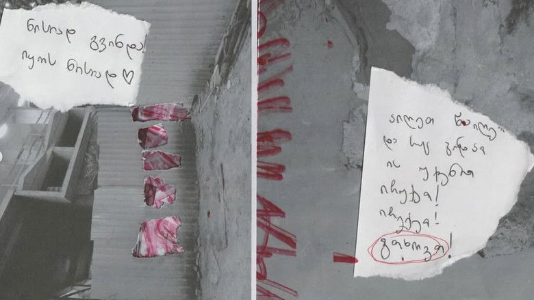 кадр из фильма იყიდება საქართველო