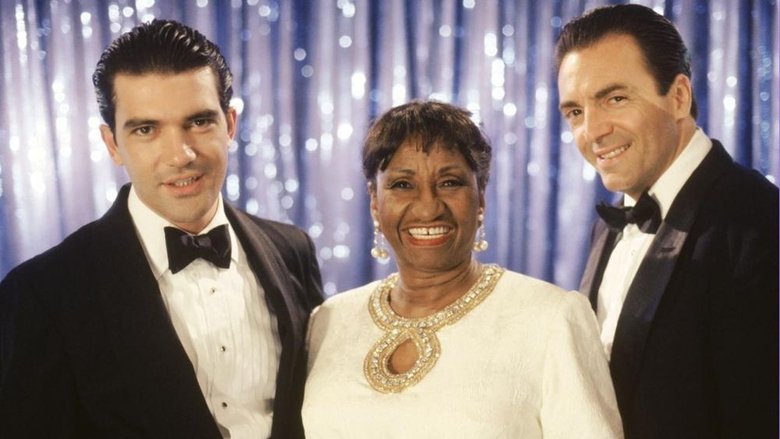 кадр из фильма Короли мамбо