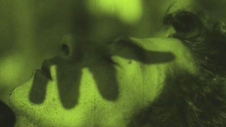 Aguaespejo granadino
