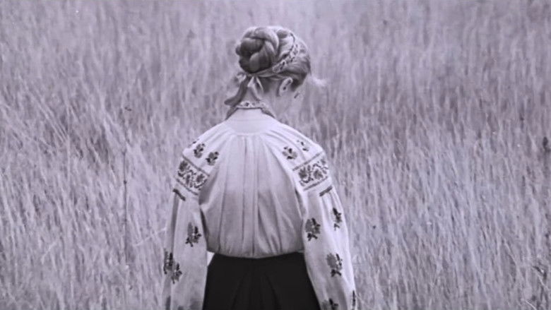 кадр из фильма Иду к тебе...