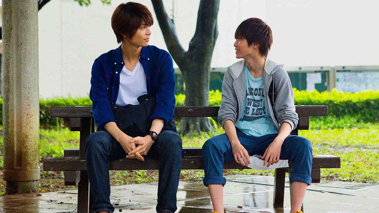 кадр из фильма ひだまりが聴こえる