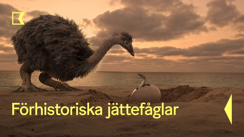 кадр из фильма Le mystère des oiseaux géants