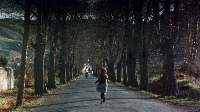 кадр из фильма Юг