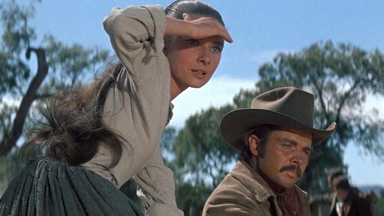 кадр из фильма Непрощённая