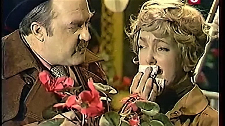 кадр из фильма Мегрэ и человек на скамейке