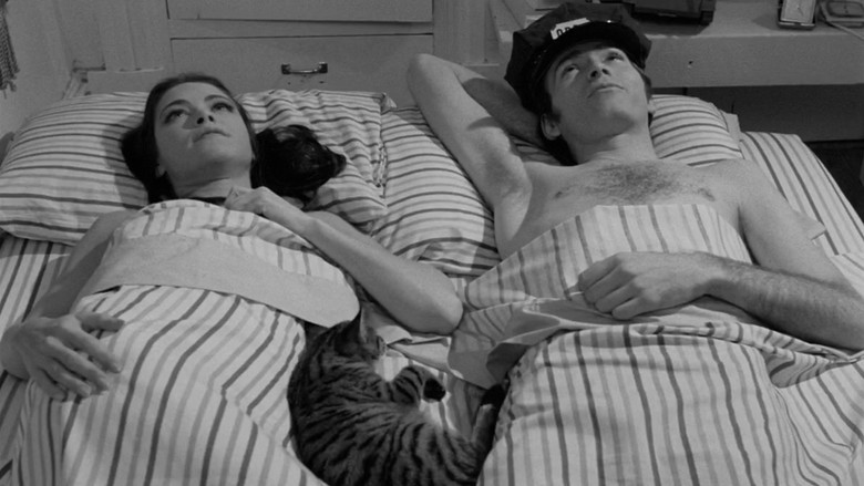 кадр из фильма Un succès commercial