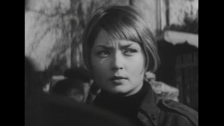 «24-25» не возвращается