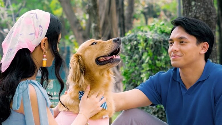 кадр из фильма Alibii.com