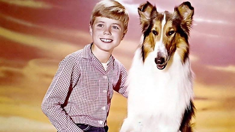 кадр из фильма Lassie: The New Beginning