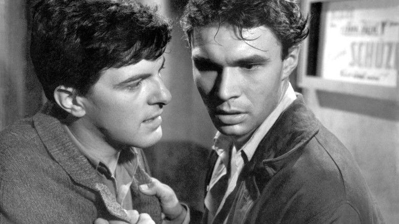 кадр из фильма Дорога через дремучий лес