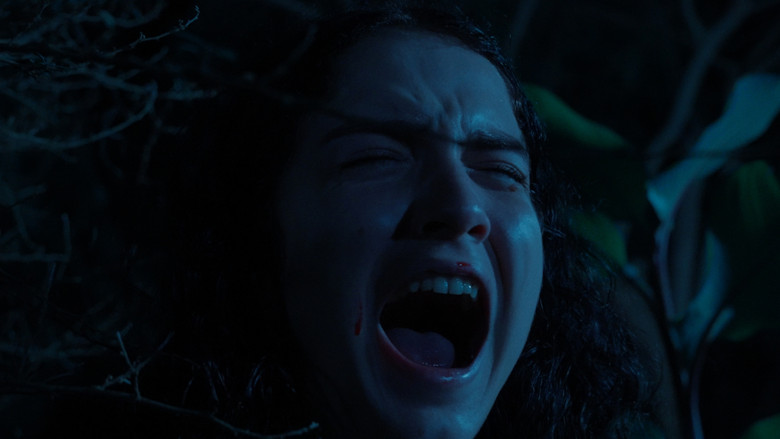 кадр из фильма El llanto del perro