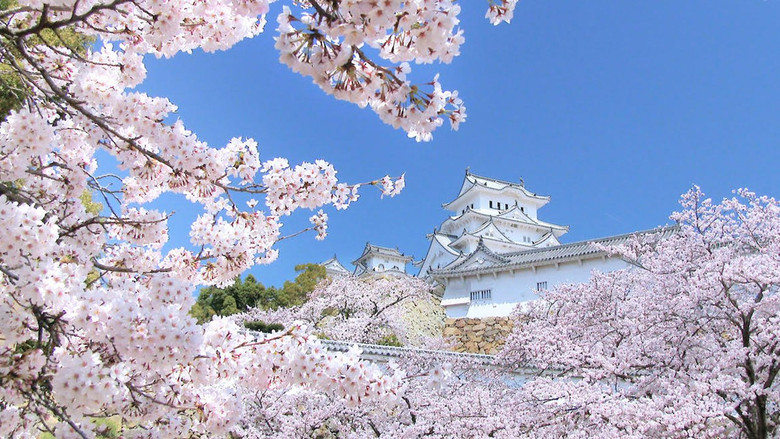 кадр из фильма ピース・ニッポン