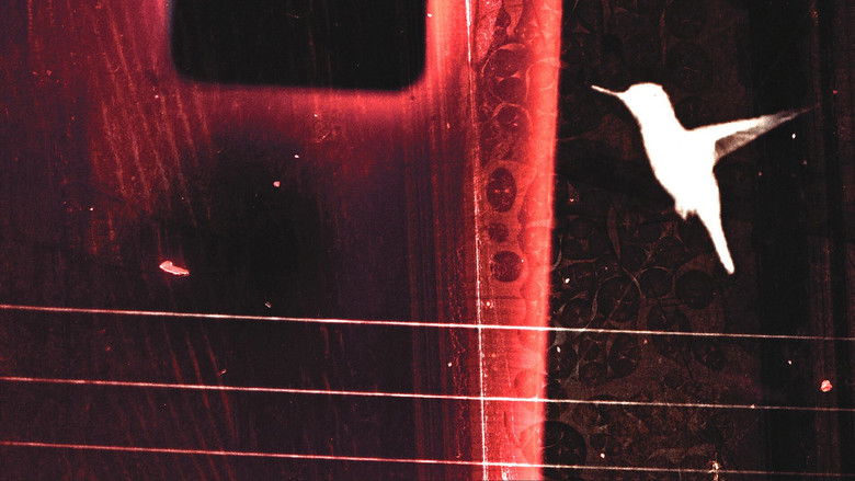 кадр из фильма lessons on flight