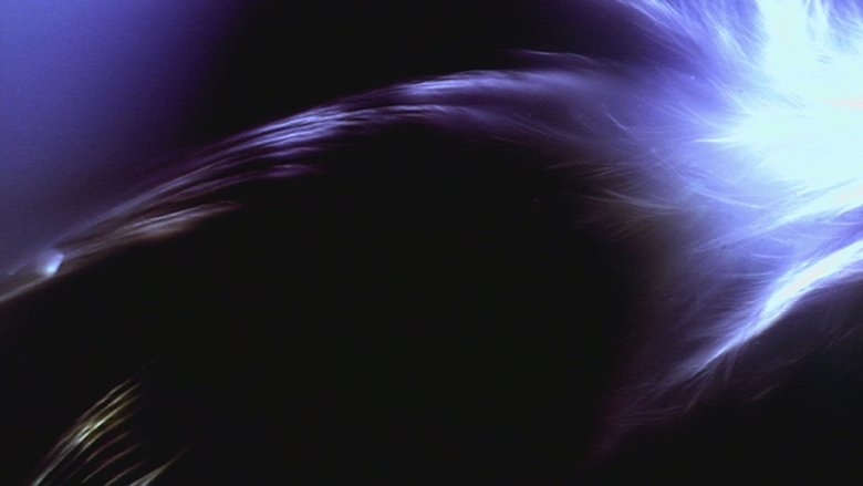 кадр из фильма Song of the Firefly