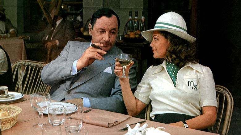 кадр из фильма Женщина в окне