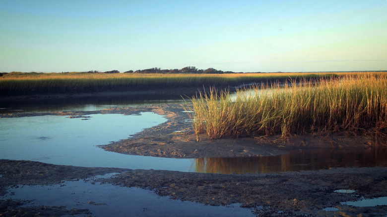 кадр из фильма Tides