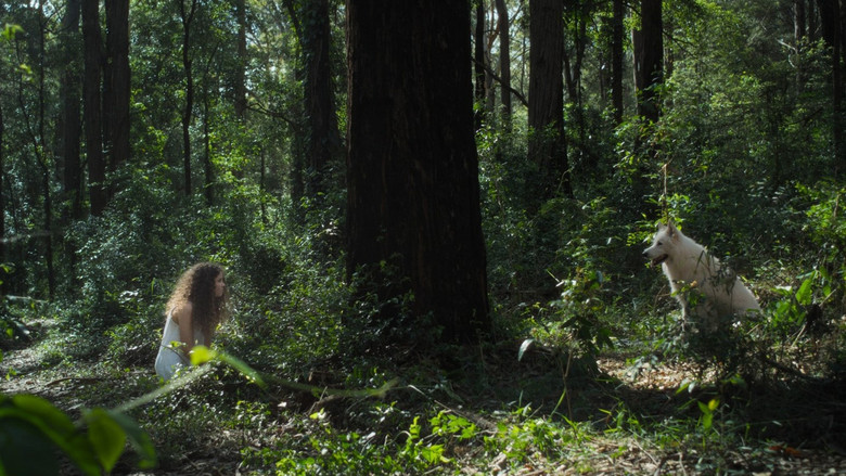 кадр из фильма All Silent Dogs