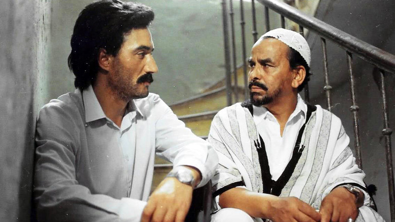 кадр из фильма Lumières