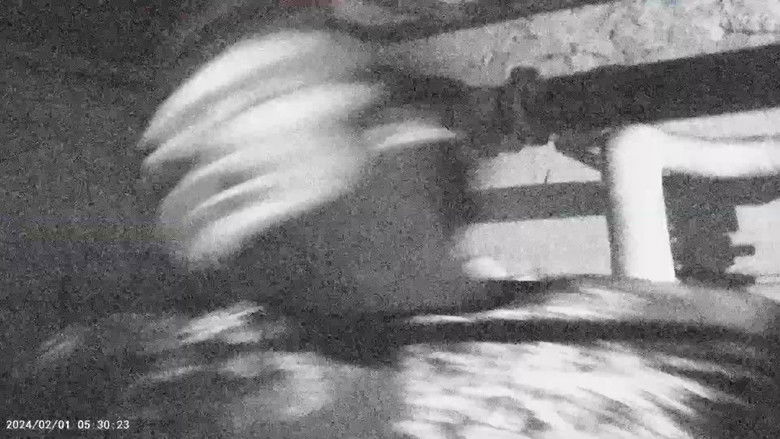 кадр из фильма WESTERN EYES