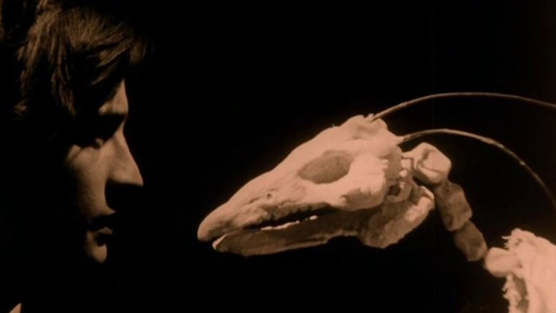 кадр из фильма Mécanix