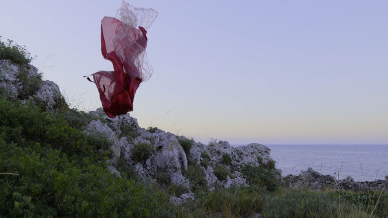 кадр из фильма Memorie