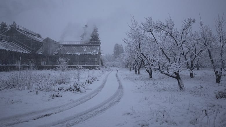 кадр из фильма Історія зимового саду