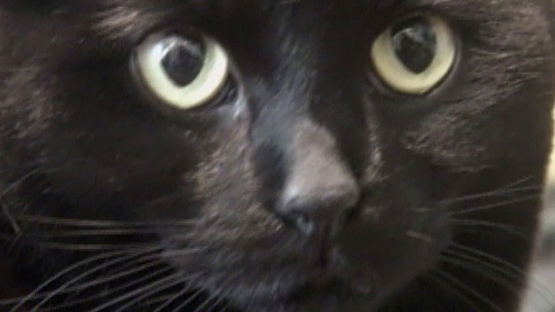 кадр из фильма Down to Clown