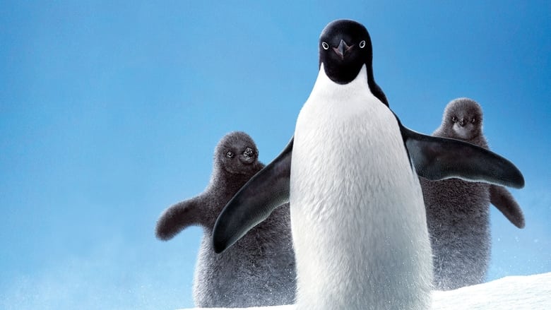 кадр из фильма Penguins