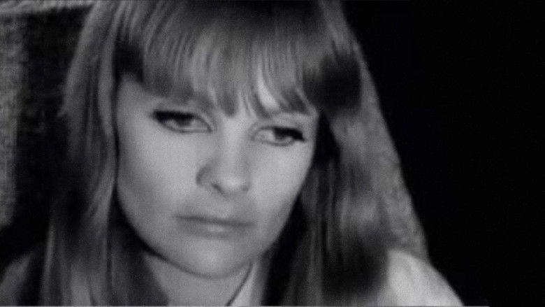 кадр из фильма Viagem ao Fim do Mundo