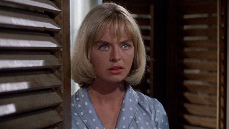 кадр из фильма Пески Калахари