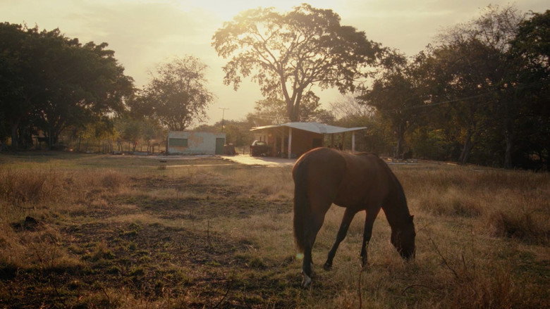 кадр из фильма Аудио и аллигатор