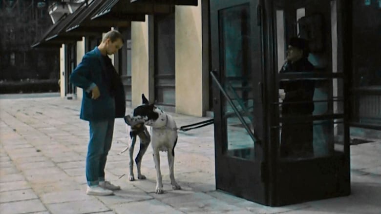 кадр из фильма Порно