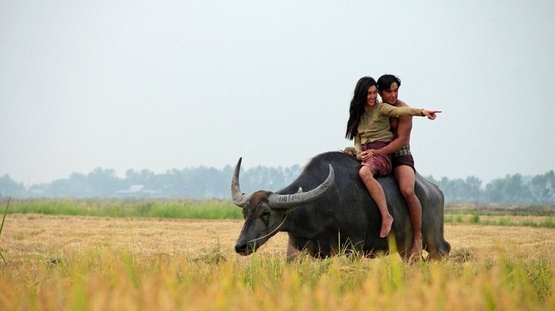 кадр из фильма แผลเก่า