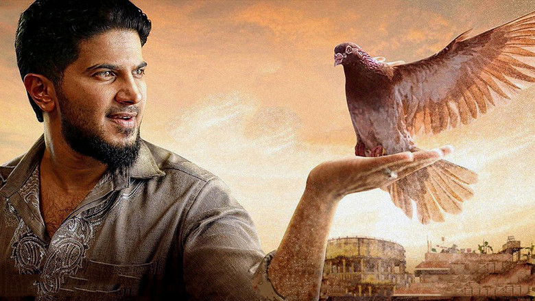 кадр из фильма പറവ