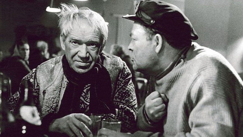 кадр из фильма Письма с острова Чудаков