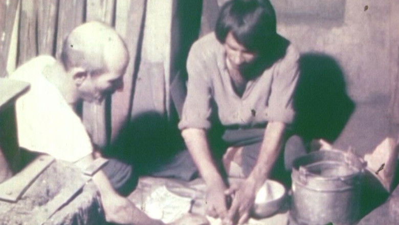 кадр из фильма تا شامگاه