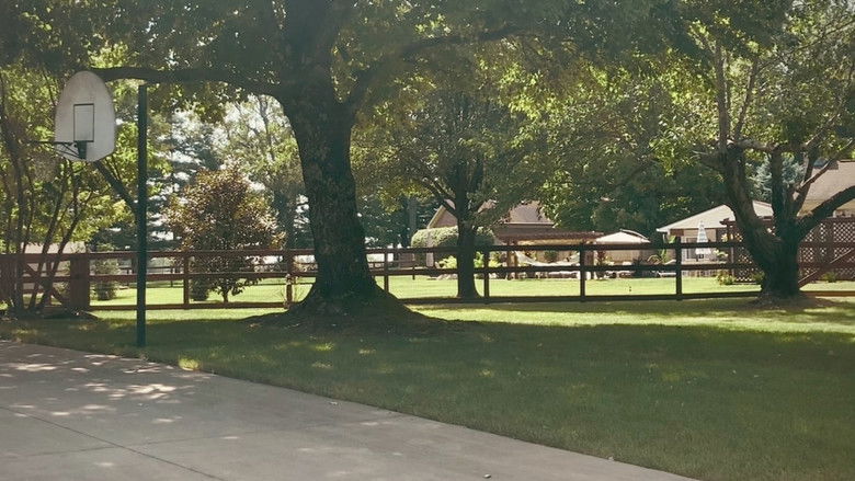 кадр из фильма mailboxes