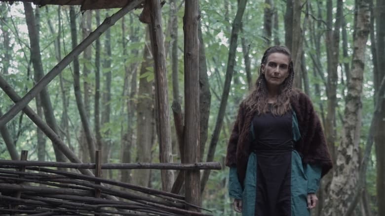 кадр из фильма Viking: Bloodlust