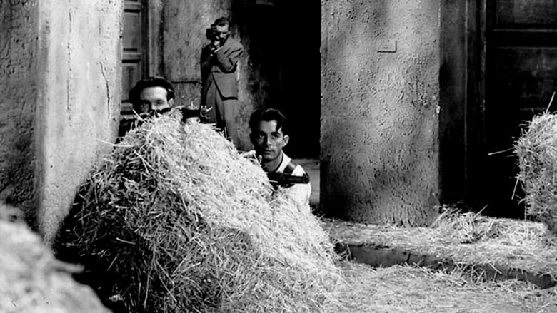 кадр из фильма Vida en sombras