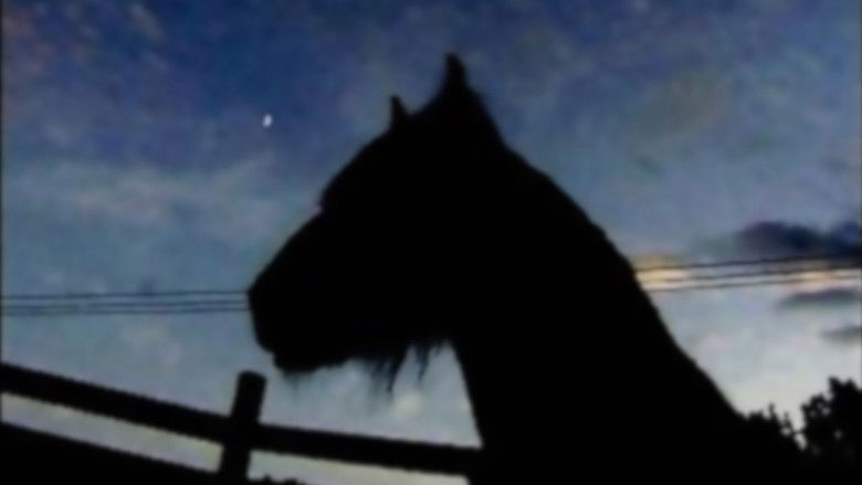 кадр из фильма Cirkushästen