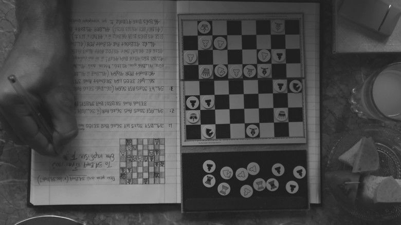 кадр из фильма Πανελλήνιον