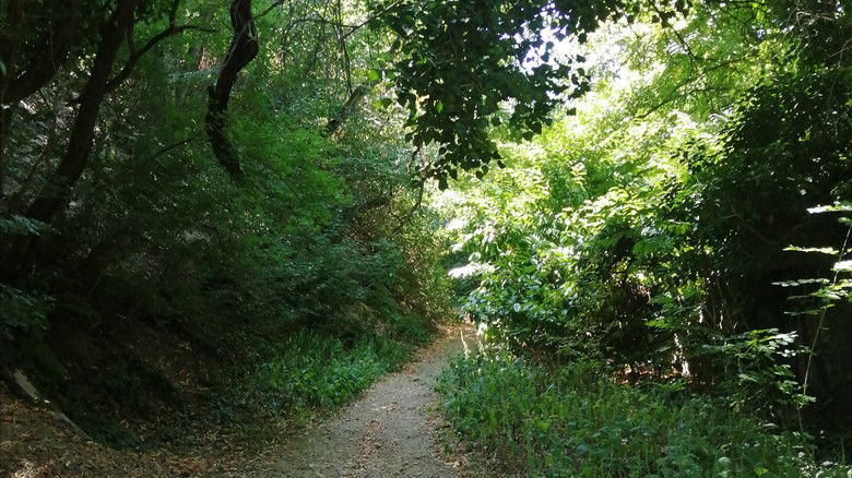 кадр из фильма Chaînes Dorées