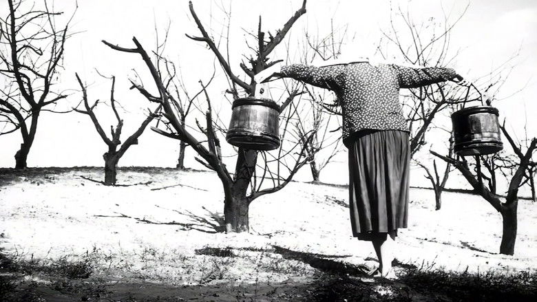 кадр из фильма Родник для жаждущих