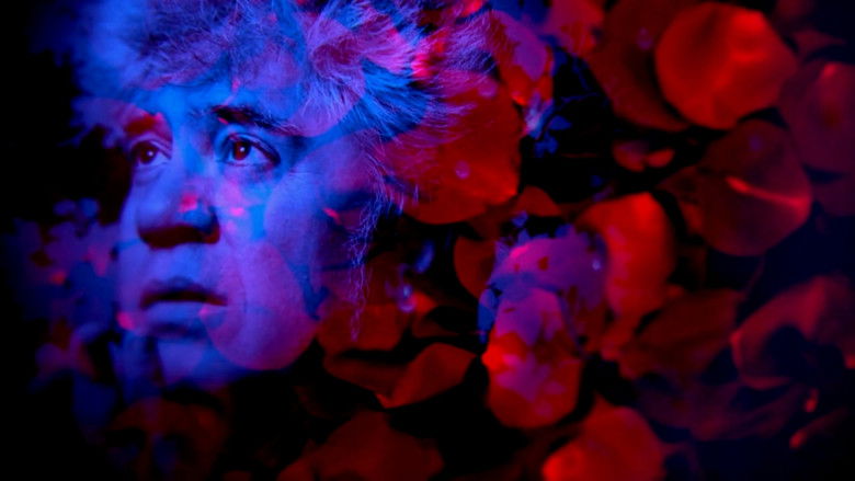 кадр из фильма Almodóvar, todo sobre ellas