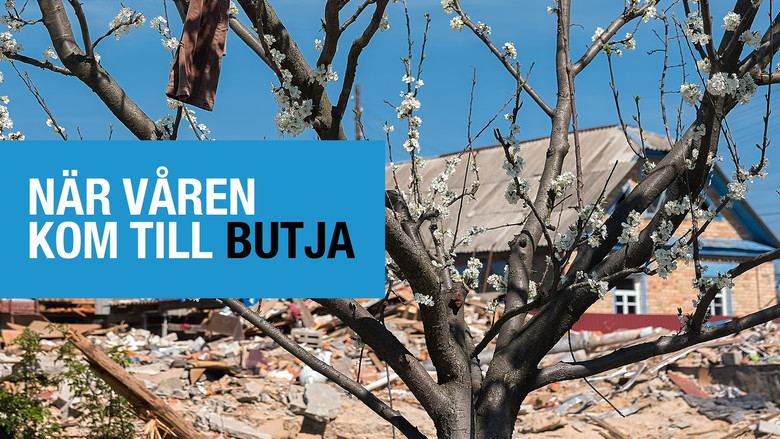 кадр из фильма Коли весна прийшла в Бучу