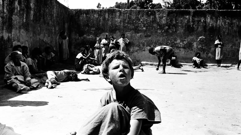 кадр из фильма Holocausto Brasileiro