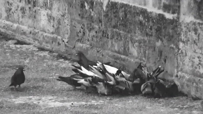 кадр из фильма Es quizás