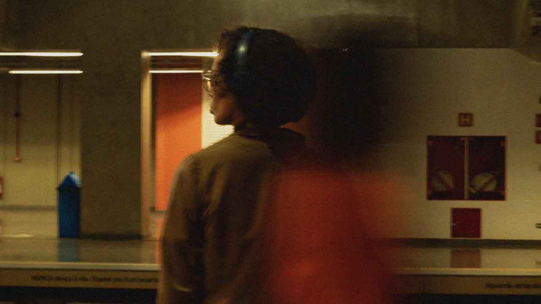 кадр из фильма Rainha Pam