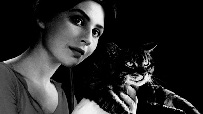 кадр из фильма Вот придёт кот